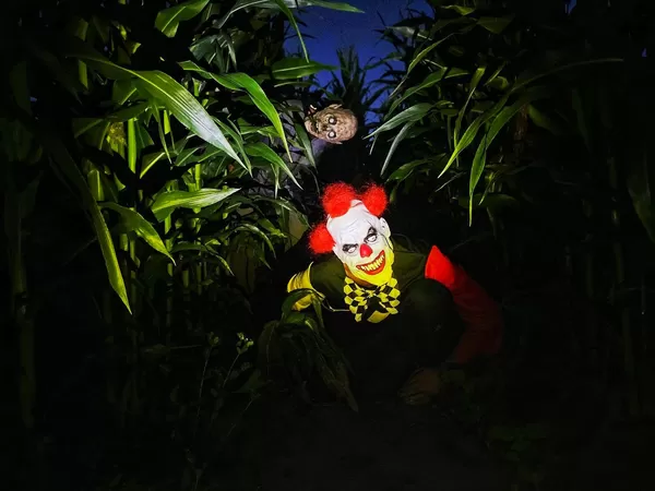 Des nocturnes murder party et horreur arrivent au labyrinthe de maïs d'Avelin