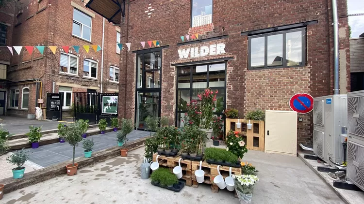 Wilder, le nouveau temple des plantes de Saint-André qui mêle resto et boutique