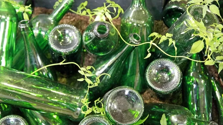 Les bouteilles de bière consignées font leur retour à Lille