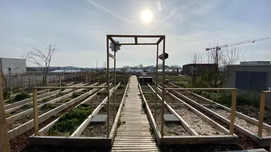 À la Maillerie, c'est le moment d'aller réserver son petit jardin sur les toits