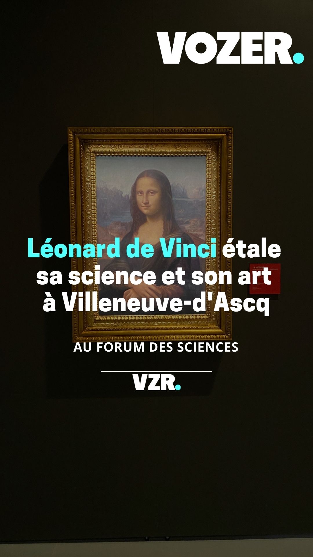 Léonard de Vinci étale  sa science et son art  à Villeneuve d'Ascq