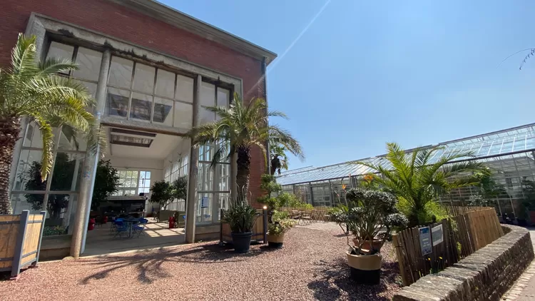 L'Orangerie du Jardin des Plantes a rouvert