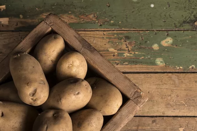 Mercredi et jeudi, à Rihour, des pommes de terre et du lait gratuits pour les étudiant·e·s