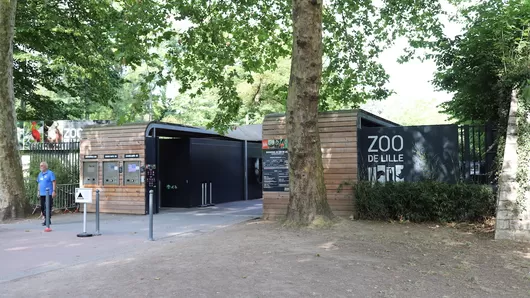 Ce mercredi, le zoo de Lille passe en mode nocturne pour un ciné en plein air