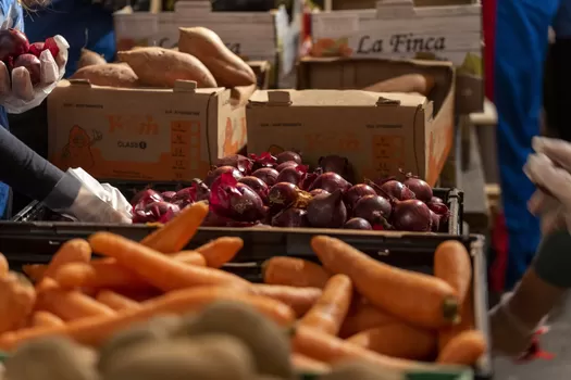 [Braderie de Lille] L'asso Linkee va récupérer les invendus alimentaires pour les étudiant·es