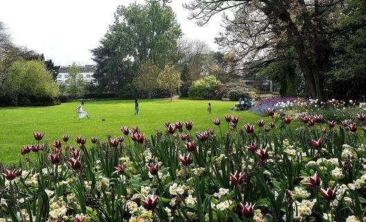 Le Jardin des Plantes se refait une beauté : ce qui va changer