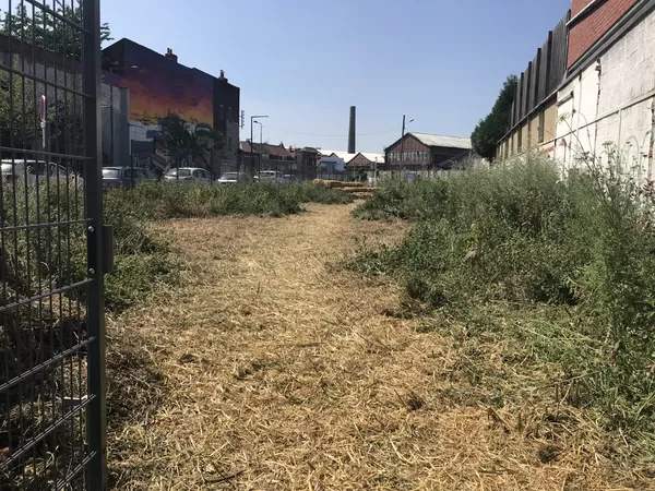 Aménagez un jardin à votre image dans le quartier de Fives