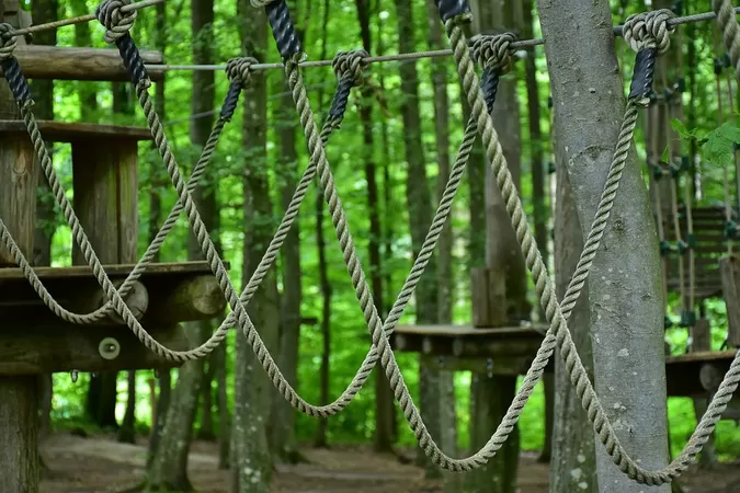 Pour Halloween, venez trembler sur le parcours d'accrobranche de la Citadelle de nuit