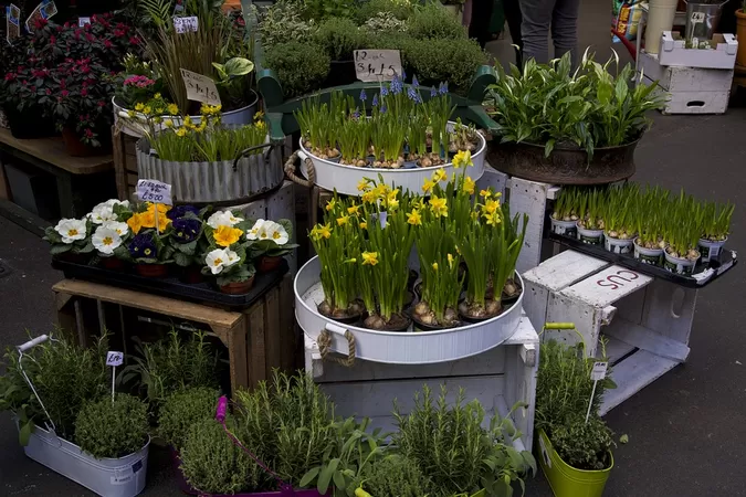 Ce week-end, Roubaix se met au vert avec un green market bien fat