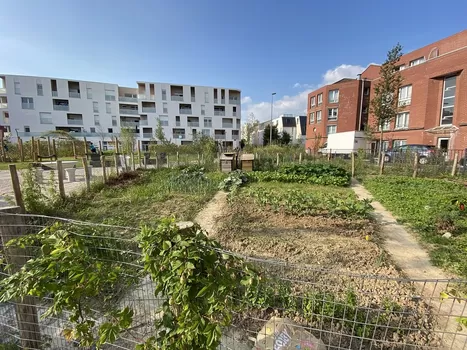 A Wazemmes, le nouveau jardin de la Paresse cherche des habitant.e.s pour son potager collectif