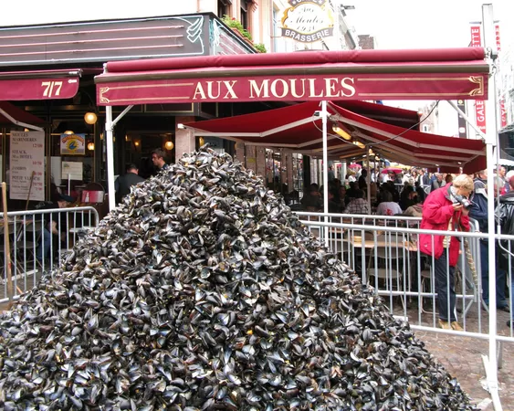 Mais au fait, pourquoi fait-on des tas de moules à la Braderie ?