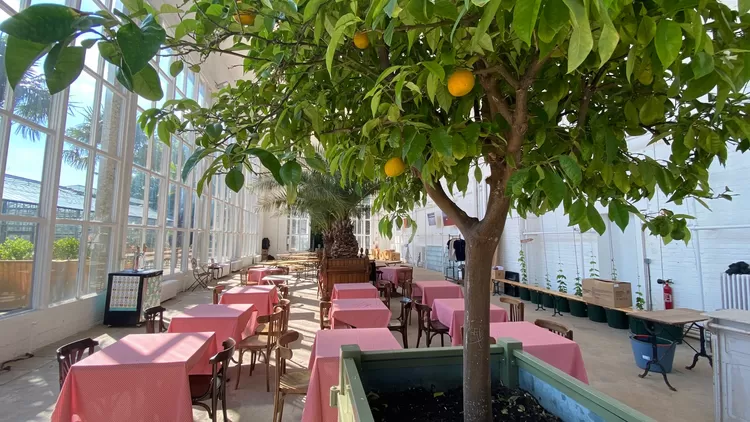 Le Jardin des Plantes a ouvert son Orangerie, un bar estival et éphémère