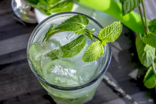 Après les fails de la fête du Mojito, ça grogne sur les réseaux sociaux