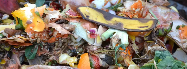 La ville cherche des volontaires pour tester le compostage à la maison