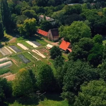 À Villeneuve-d'Ascq, la Ferme du Recueil ouvre les portes de la permaculture à qui veut, ce samedi