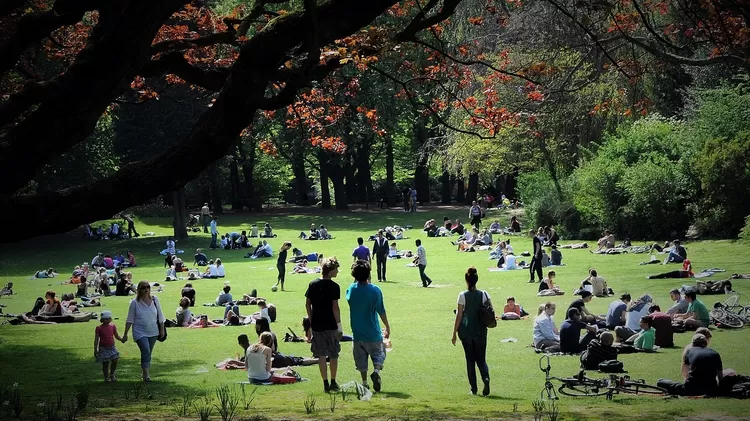 Electro, techno, funk : les jardins de Lille s'ambiancent en août