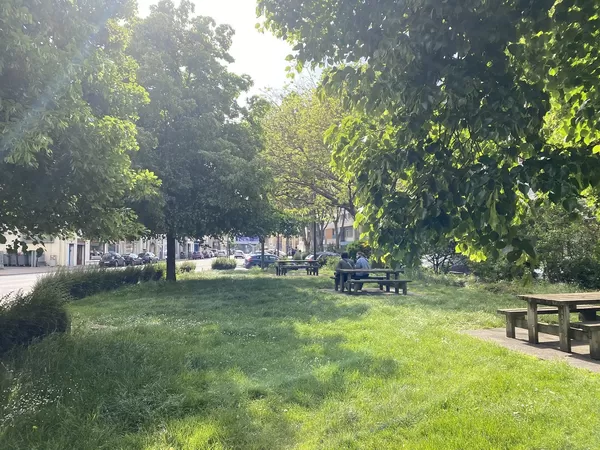 Espaces verts à Lille : en route vers la métamorphose ?