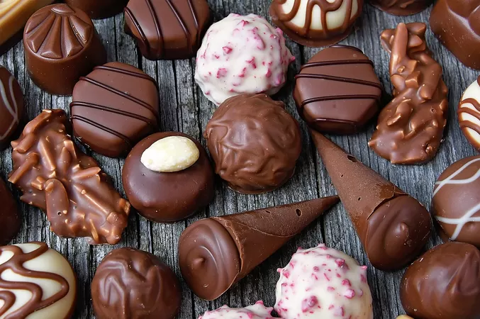 L'usine Chocmod ouvre ses portes pour une grande vente de chocolats