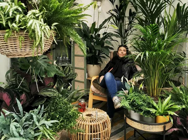 Le Vieux-Lille aura bientôt sa Wilderie, un concept-store mi-food, mi-plantes