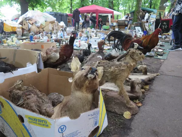 Petit manuel pour une braderie mythique et sans embrouilles