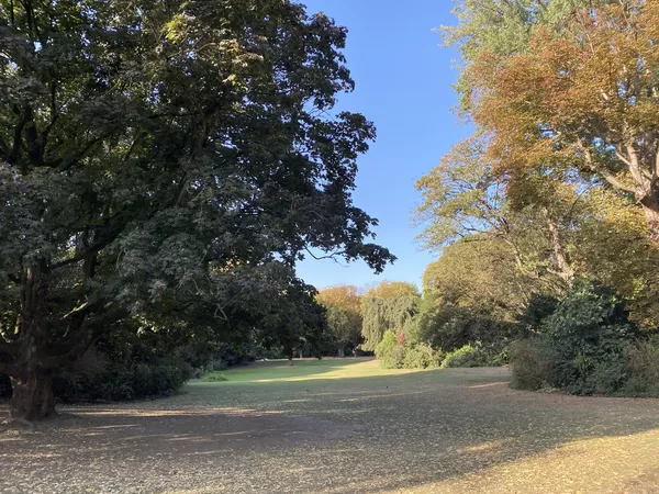 [Confinement II] La quasi totalité des parcs et jardins restent ouverts dans la métropole lilloise