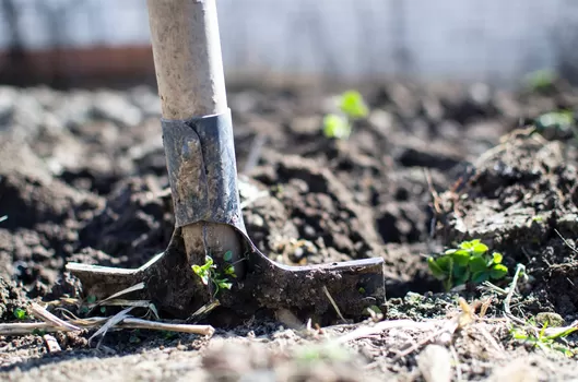 Des vessies jusqu'au tribunal de Lille, itinéraire du glyphosate