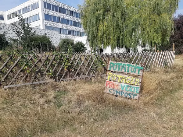 Les étudiants du campus Pont de Bois peuvent apprendre à jardiner avec Potatoit