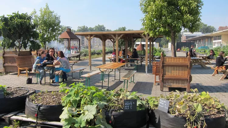 La ferme urbaine de Saint-So rouvre bientôt ses portes, venez chercher vos graines