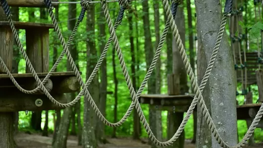 Le parc d'accrobranche de la Citadelle s'offre une session nocturne