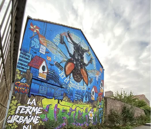 La ville de Roubaix cherche des murs pour de nouvelles fresques street-art