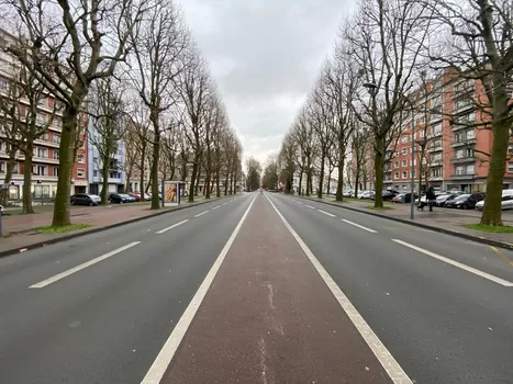 A Vauban, un nouveau parc urbain est en projet sur la place du Maréchal-Leclerc