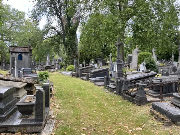 On vous emmène vous perdre (et vous cultiver) au Cimetière de l'Est