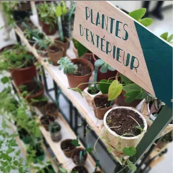 Ce week-end, c'est troc de plantes et vente d'objets de créateurs au Vestiaire de Roubaix