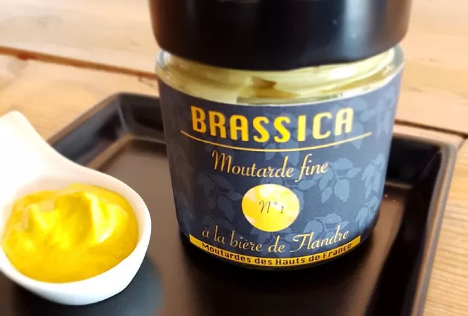 Brassica, la future moutarde à la bière de Flandre