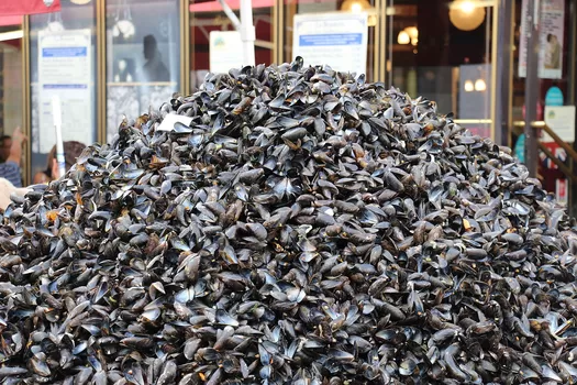 Les tas de moules de la Braderie vont être recyclés en carrelage