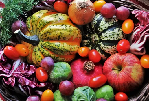 Potager City débarque dans les Hauts de France