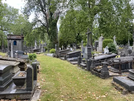 On vous emmène vous perdre (et vous cultiver) au Cimetière de l'Est