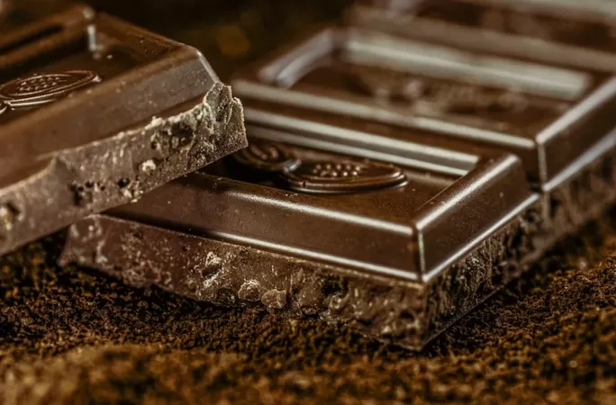 Encuentro, le chocolat lommois reconnu parmi les meilleurs chocolats de France