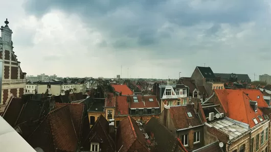 Le conseil municipal de Lille a décrété l'urgence climatique