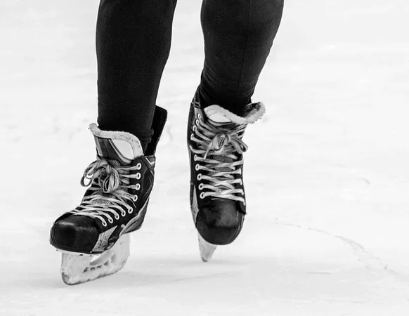 La MEL réfléchit à la construction d'une deuxième patinoire