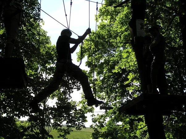 Le parc d'accrobranche de la Citadelle prépare ses nouvelles sessions nocturnes pour l'été