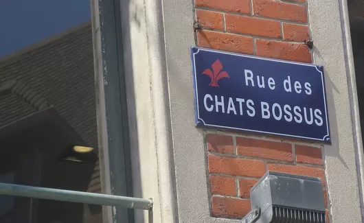 [Street corner] Rue des Chats-Bossus : le pourquoi du comment