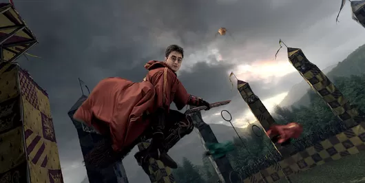 L'équipe de quidditch de Lille, les Black Snitches, rêve d'accueillir la prochaine coupe du monde