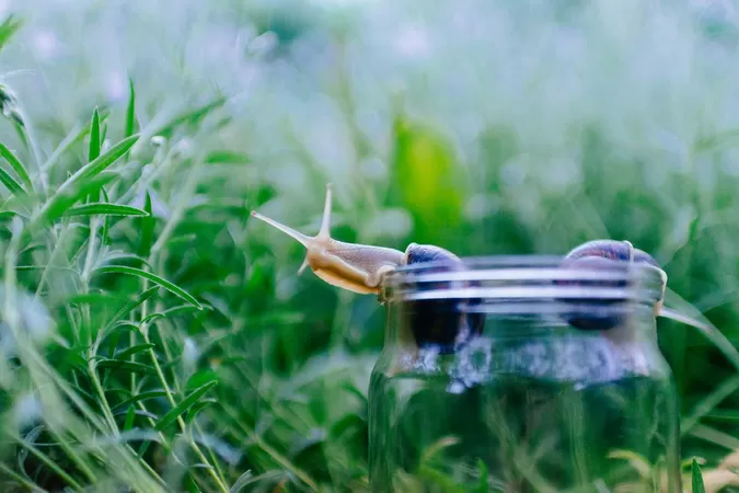 Trois activités à faire pendant la semaine du développement durable