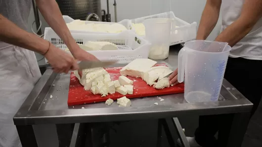 Les créateurs de la Bottega fabriquent désormais de la mozza' directement depuis Lomme