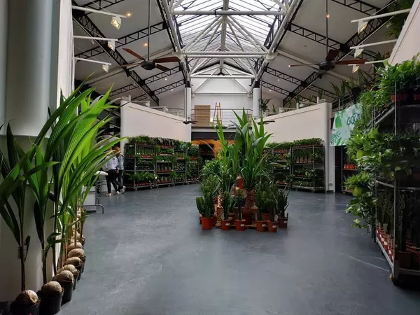 Petits prix et grande vente de plantes à la Halle aux sucres ce week-end