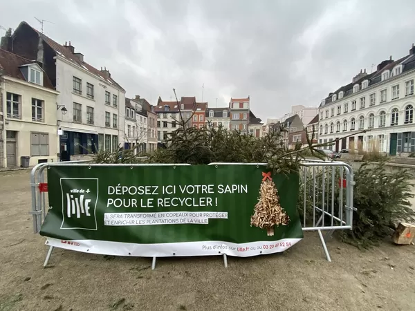 Dès ce mardi, la ville récupère vos sapins pour leur donner une seconde vie