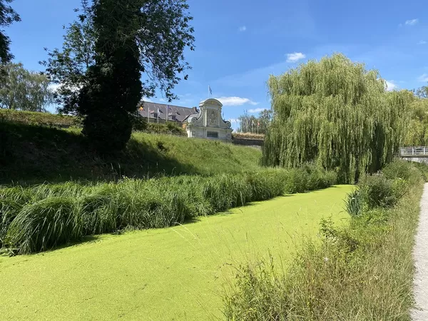 Les lentilles vertes sont revenues polluer les douves de la Citadelle