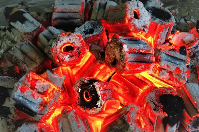 Une entreprise marcquoise recycle les coques de noisettes en charbon pour barbeuc'