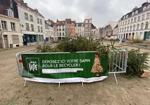 En janvier, la Ville de Lille récupère et recycle vos sapins de Noël